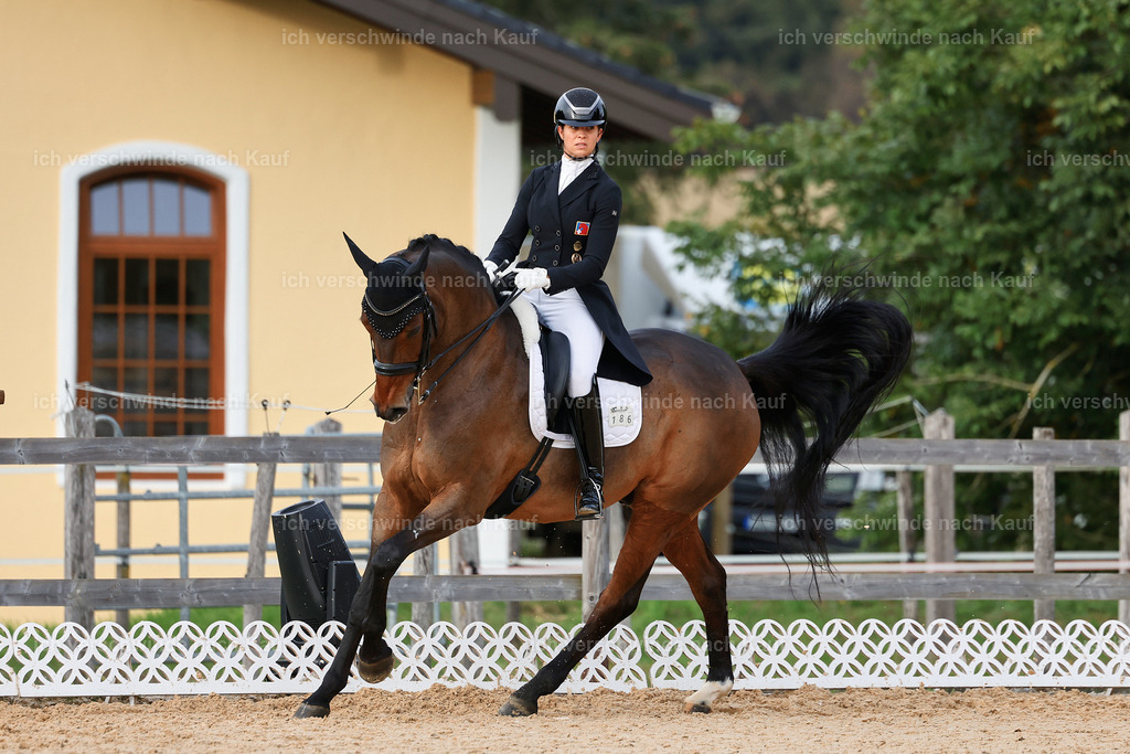 13-186-S___ -StoibPH-7018 | working equitationturnier fotograf videograf stoibphotography marixx film working equitation deutschland reitsport turnierfotografie eventfotografie equestrian events