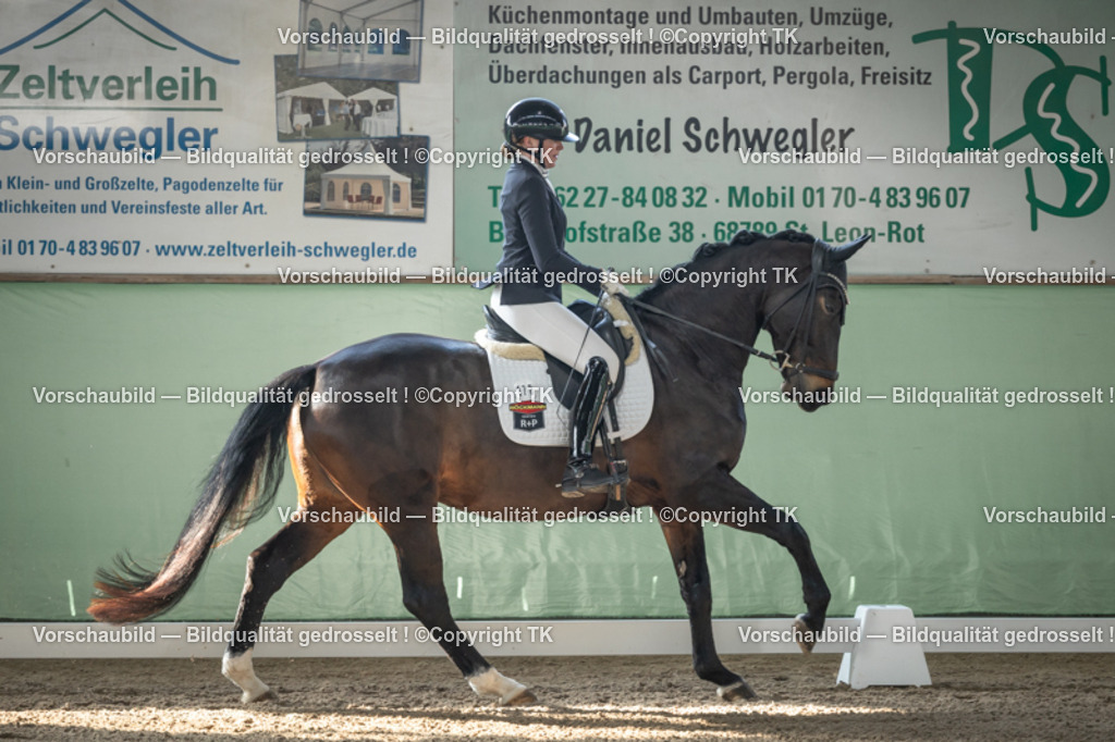 _D5A0495 | Emotionale Pferde- & People-Fotografie rund um Heidelberg, Leimen & Umgebung. Natürliche Fotos von Pferd, Mensch & Familie. Jetzt Termin sichern!