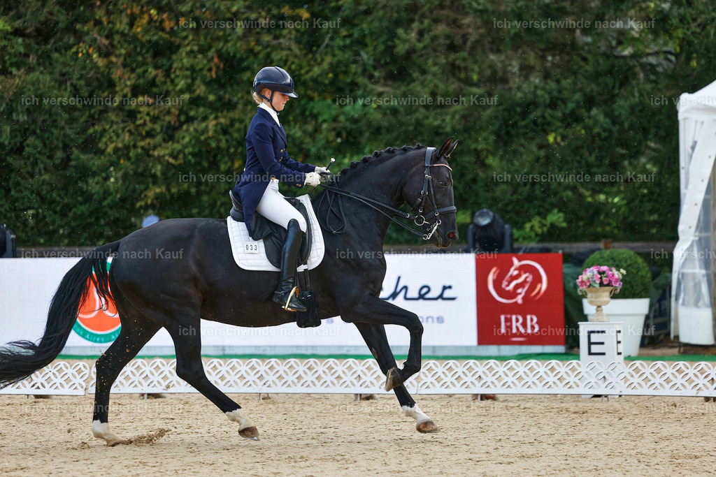 10-033-ST.GEORG SPECIAL -StoibPH-3121 | working equitationturnier fotograf videograf stoibphotography marixx film working equitation deutschland reitsport turnierfotografie eventfotografie equestrian events