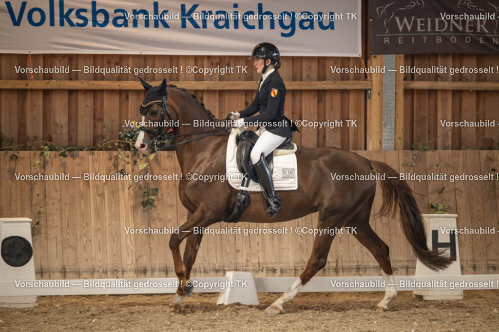 _D5A9474 | Emotionale Pferde- & People-Fotografie rund um Heidelberg, Leimen & Umgebung. Natürliche Fotos von Pferd, Mensch & Familie. Jetzt Termin sichern!