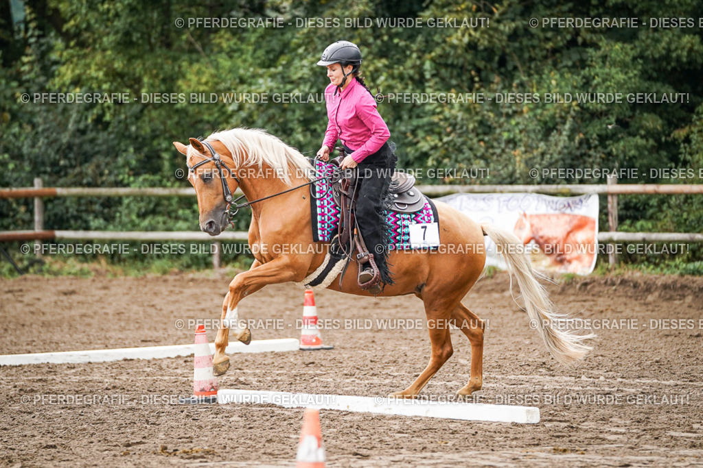 DSC03828 | Pferdegrafie