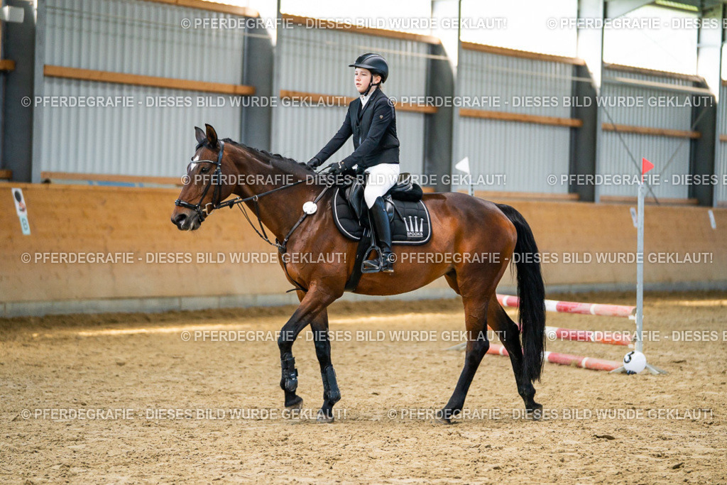 DSC01147 | Pferdegrafie