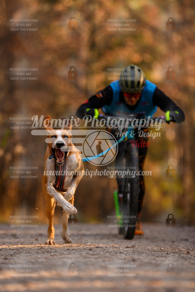 MompixPhotography_DM_AKDM_SO_2025_Scooter-76 | PayLife