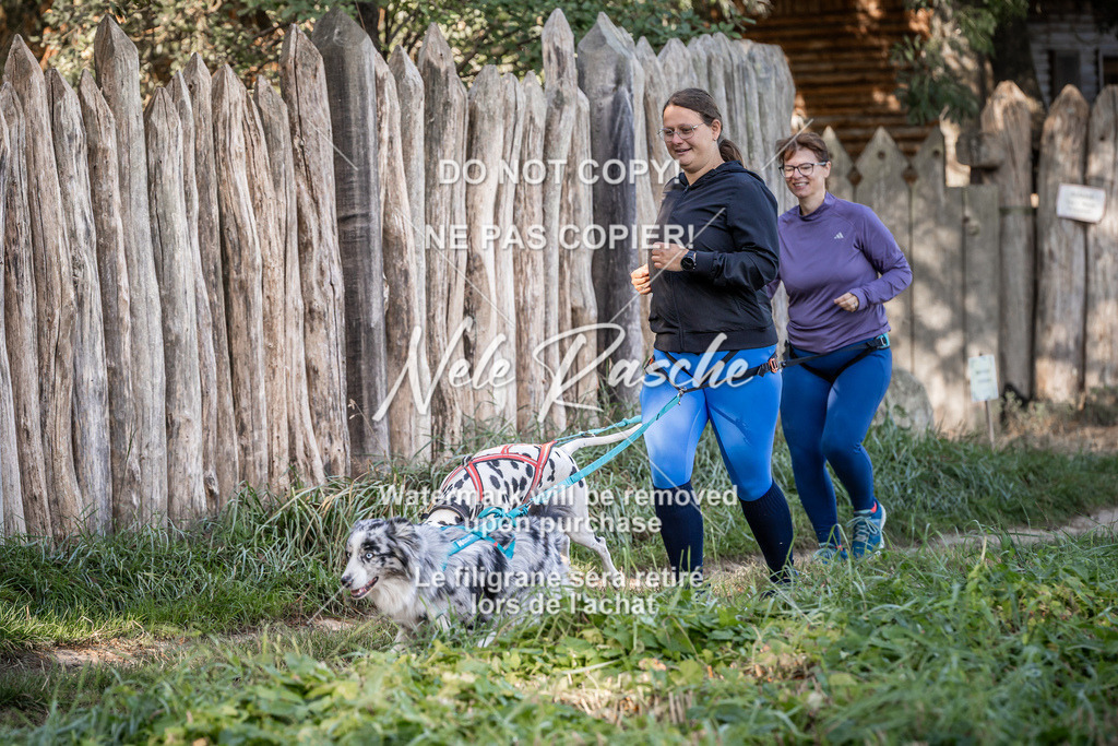 nelerasche_slaw24So_40 | nelerasche