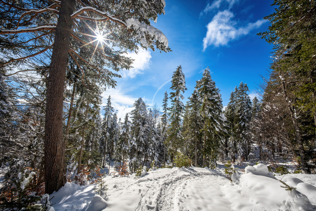 Mösern | Unterwegs zum Brunschkopf