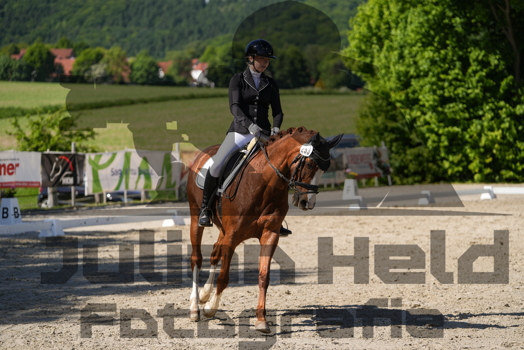 DSC00577 | Julian Held Fotografie - Realisiert mit Pictrs.com