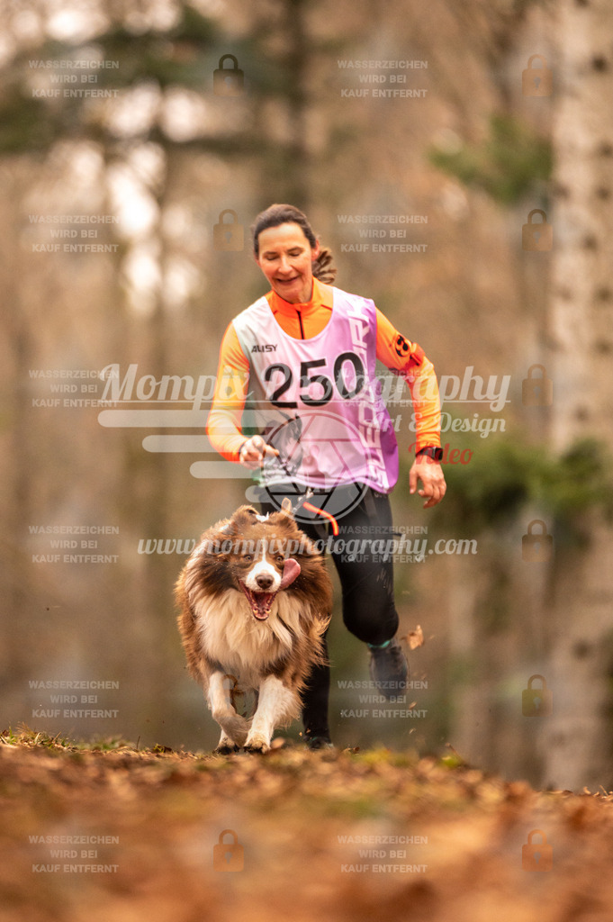 AKM_ST_2023_SAM_Run-137 | PayLife