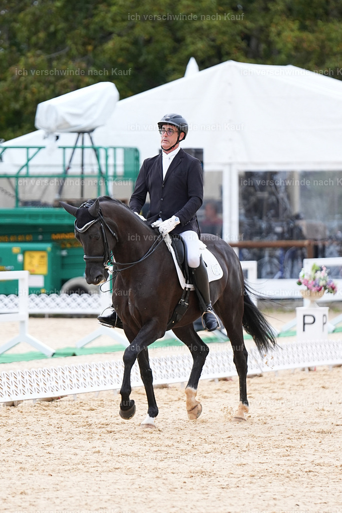 3-156-Dressur M_-Marixx-1898 | working equitationturnier fotograf videograf stoibphotography marixx film working equitation deutschland reitsport turnierfotografie eventfotografie equestrian events