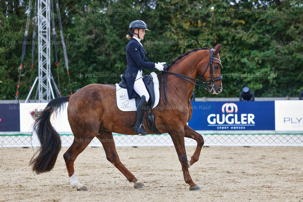 8_1-085-Klasse S_  -StoibPH-3819 | working equitationturnier fotograf videograf stoibphotography marixx film working equitation deutschland reitsport turnierfotografie eventfotografie equestrian events