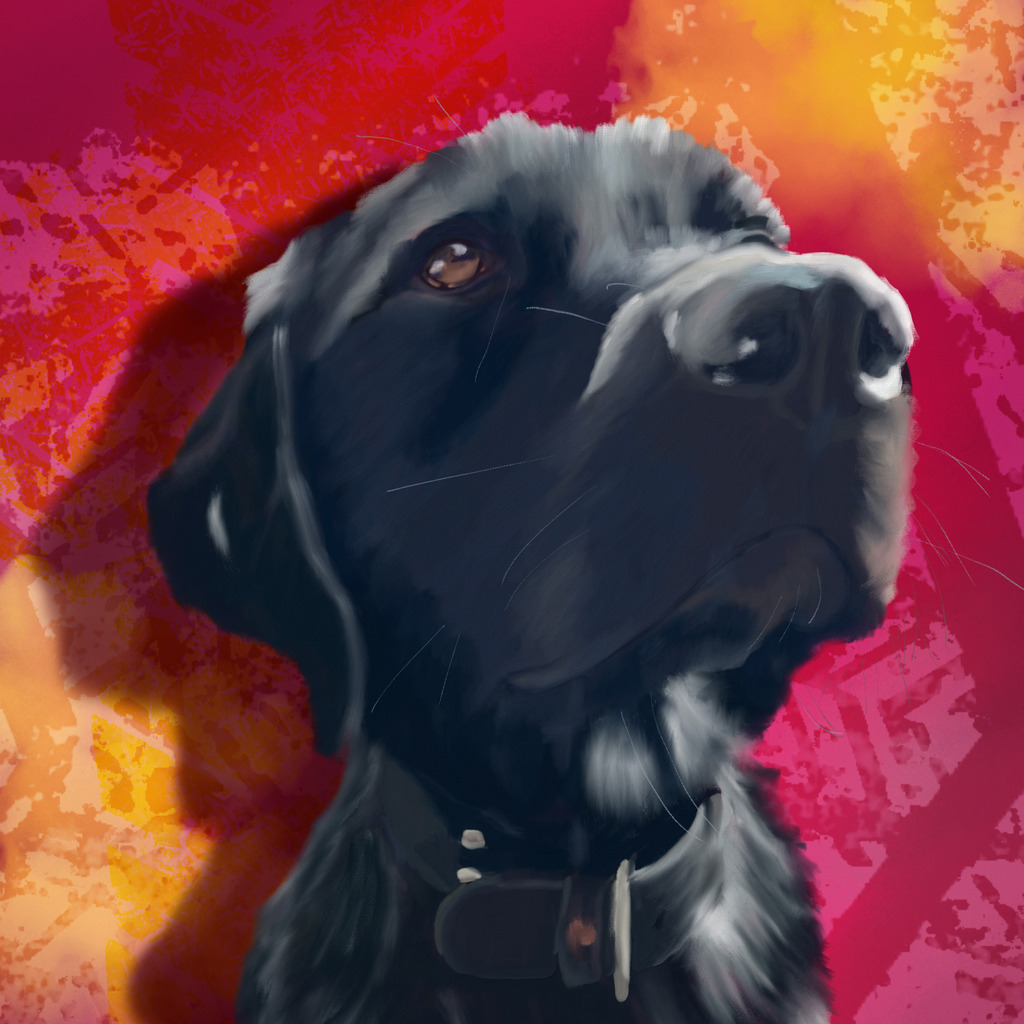 Oskar | Illustrationen, digitalpainting, animals, dogs, hunde, art, Kunst, Illustrationsart, Bielefeld, Germany - Realisiert mit Pictrs.com