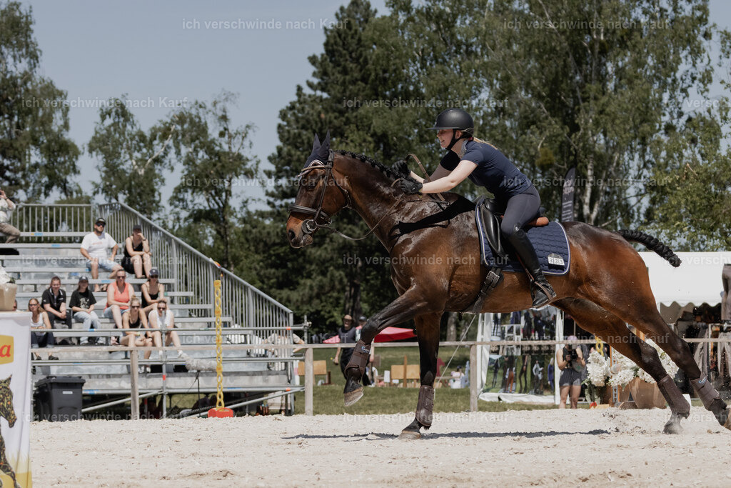 WE_SP_Stoib_333_PI2025_2046 | Pferd International München 2025