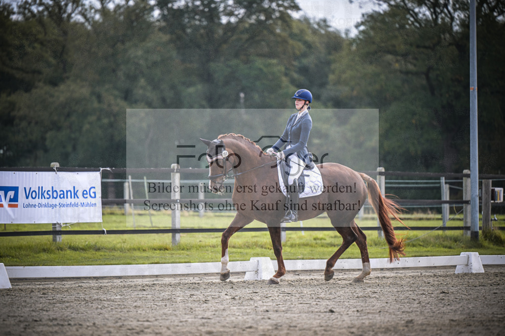 DOS_2885 | Entdecke hochwertige Reitturnierfotos von Foto Oger. Professionell, emotional und authentisch – jetzt Lieblingsmomente im Shop bestellen.Deutschlandweite Turnierfotografie. - Realisiert mit Pictrs.com