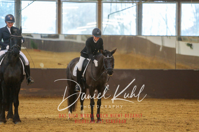 IMG_7927 | Turniersportfotografie; Pferdefotografie; Dressurfotografie