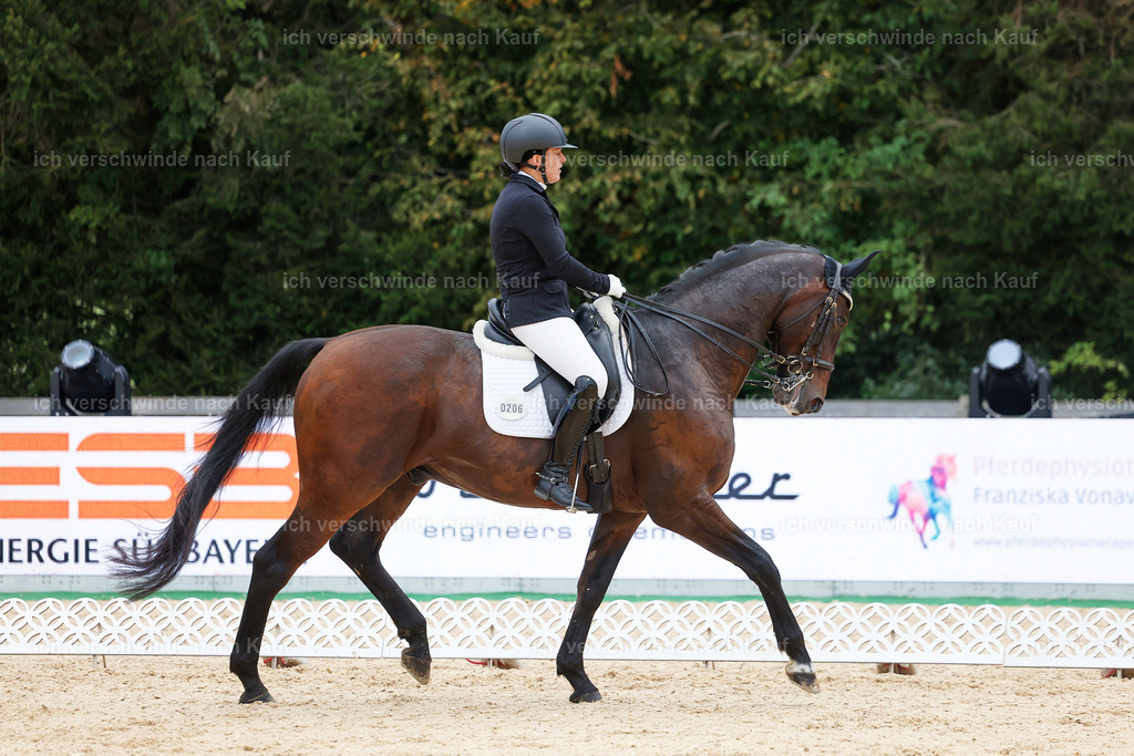 04_2-206-Dressur M__ -StoibPH-2922 | working equitationturnier fotograf videograf stoibphotography marixx film working equitation deutschland reitsport turnierfotografie eventfotografie equestrian events