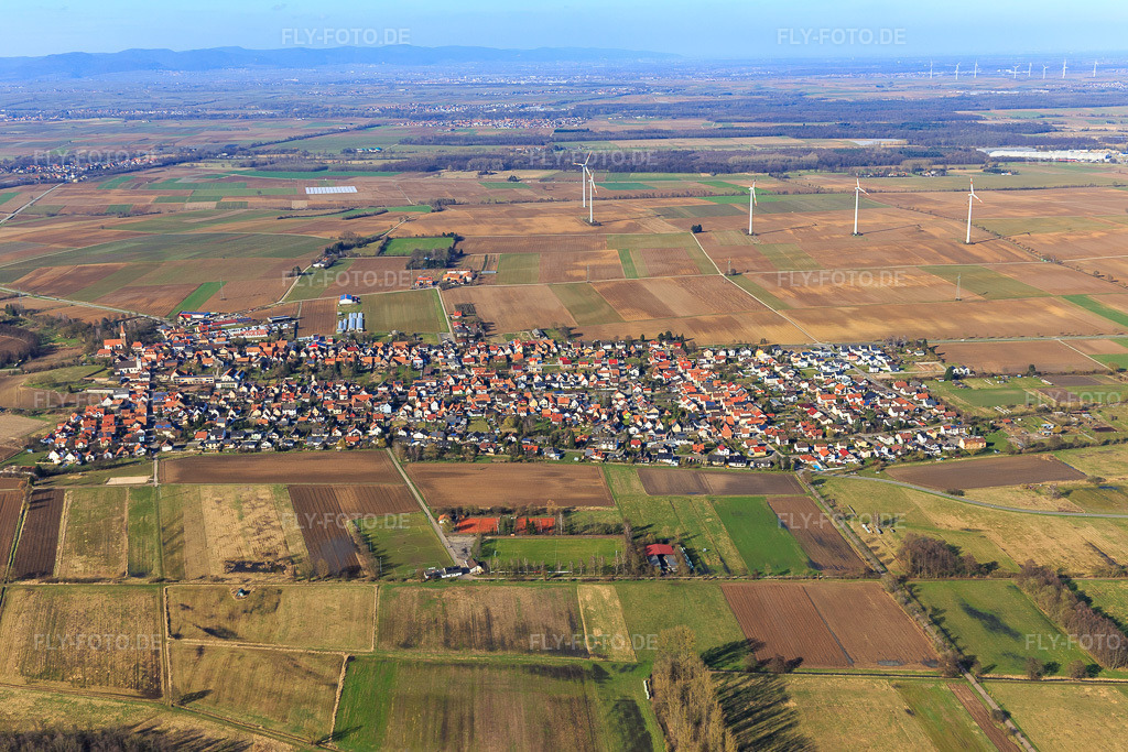Luftbild: Dorfansicht jenseits des Mühlbach aus Süden in Minfeld im Bundesland Rheinland-Pfalz in Deutschland. Foto: IMG_097199.jpg vom 10.03.2017 durch Werner Riehm/FLY-FOTO.de