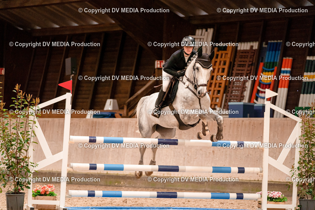 Springen Tag 1-497 | dv-media-shop - Realisiert mit Pictrs.com