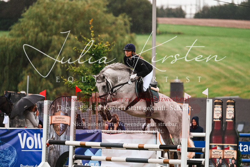 DSC_6622 | Pferde- und Turnierfotografie in Westsachsen. Pferdeportraits, Auftragszeichnungen und intuitive Kunst.