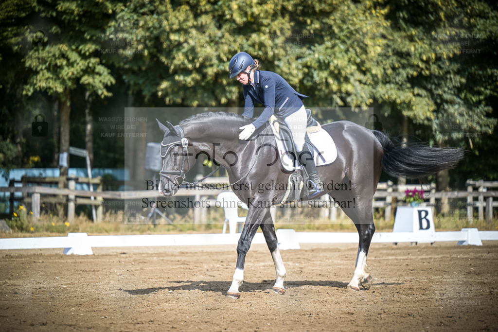 DOS_3910 | Entdecke hochwertige Reitturnierfotos von Foto Oger. Professionell, emotional und authentisch – jetzt Lieblingsmomente im Shop bestellen. - Realisiert mit Pictrs.com