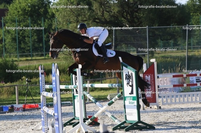 OHT 2022 Röhlingen (196) | Fotografie, Tiere, Hunde, Katzen, Pferde, Sportfotografie, Fotosession, Tierfotografie, Turnierfotografie, Fotografin, Fotograf - Realisiert mit Pictrs.com
