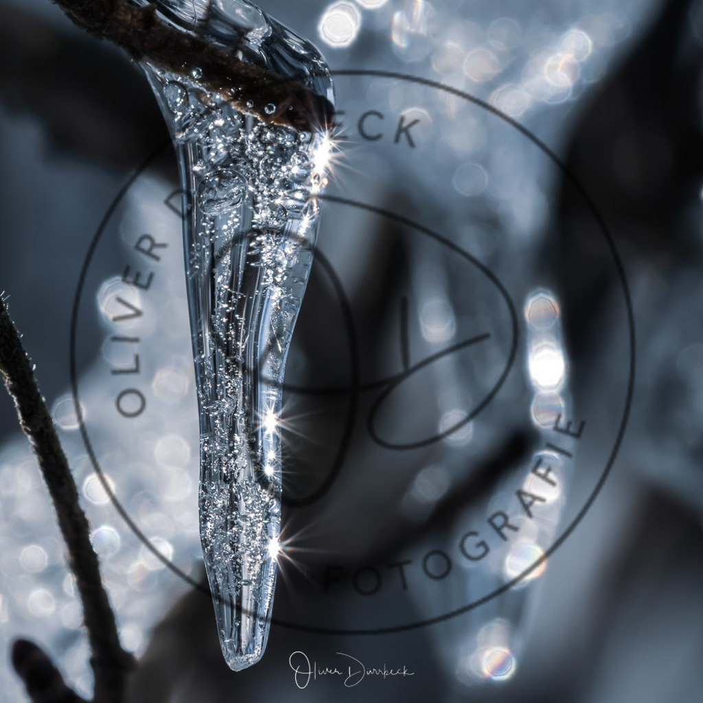 natur-pflanzen-25 | Shop für Kindergartenfotografie und andere Fotoprodukte von Oliver Dürrbeck Fotografie. - Realisiert mit Pictrs.com