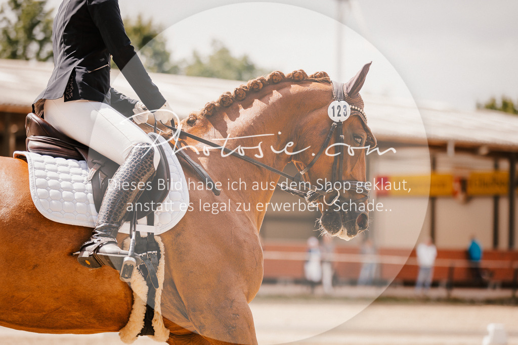 3I6A6274 | Stimmungsvolle Portraits und Reitsportfotografie im Ruhrgebiet und im Münsterland.

Pferdefotografie, Hundefotografie, Tierfotografie, Reportagen, Portraits von Tier und Mensch, Turnierfotografie in Bochum, Recklinghausen, Marl, Haltern am See, Dülmen.. - Realisiert mit Pictrs.com