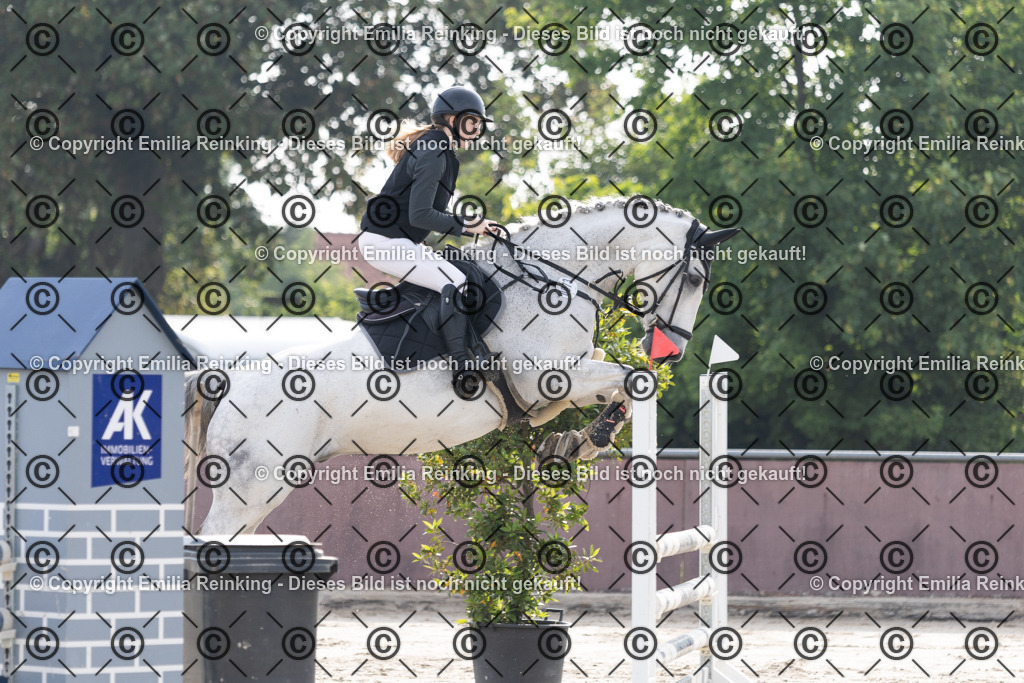 CL5A1651 | Emilia Reinking Fotografie - Realisiert mit Pictrs.com