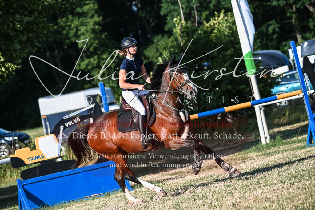 DSC_2879 | Pferde- und Turnierfotografie in Westsachsen. Pferdeportraits, Auftragszeichnungen und intuitive Kunst.
