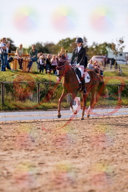 2026_10_03_Siefer-Hof_133123_Z81_85060647 | Professionelle Reitsport-, Turnier- und Eventfotografie von Robert Broda. Galerien mit ausgewählten und bearbeiteten Bildern direkt online ansehen und bestellen.