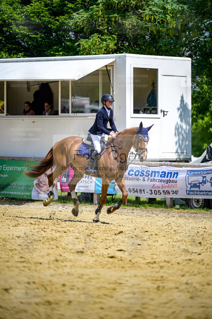 Reitturnier Lienen | Entdecke hochwertige Reitturnierfotos von Foto Oger. Professionell, emotional und authentisch – jetzt Lieblingsmomente im Shop bestellen. - Realisiert mit Pictrs.com