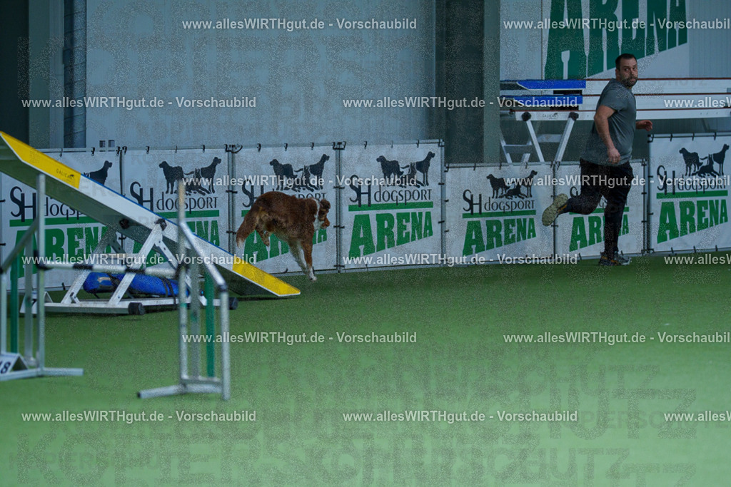 @allesWIRTHgut_Tierfotografie - www.allesWIRTHgut.de - 2604251226-7R501746 | Professionelle Tierfotografie in Mönchengladbach von Daniel Wirth (allesWIRTHgut). Liebevolle & natürliche Bilder von Hunden & Katzen für unvergessliche Erinnerungen.