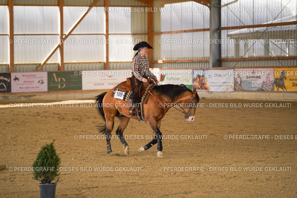 DSC06983 | Pferdegrafie