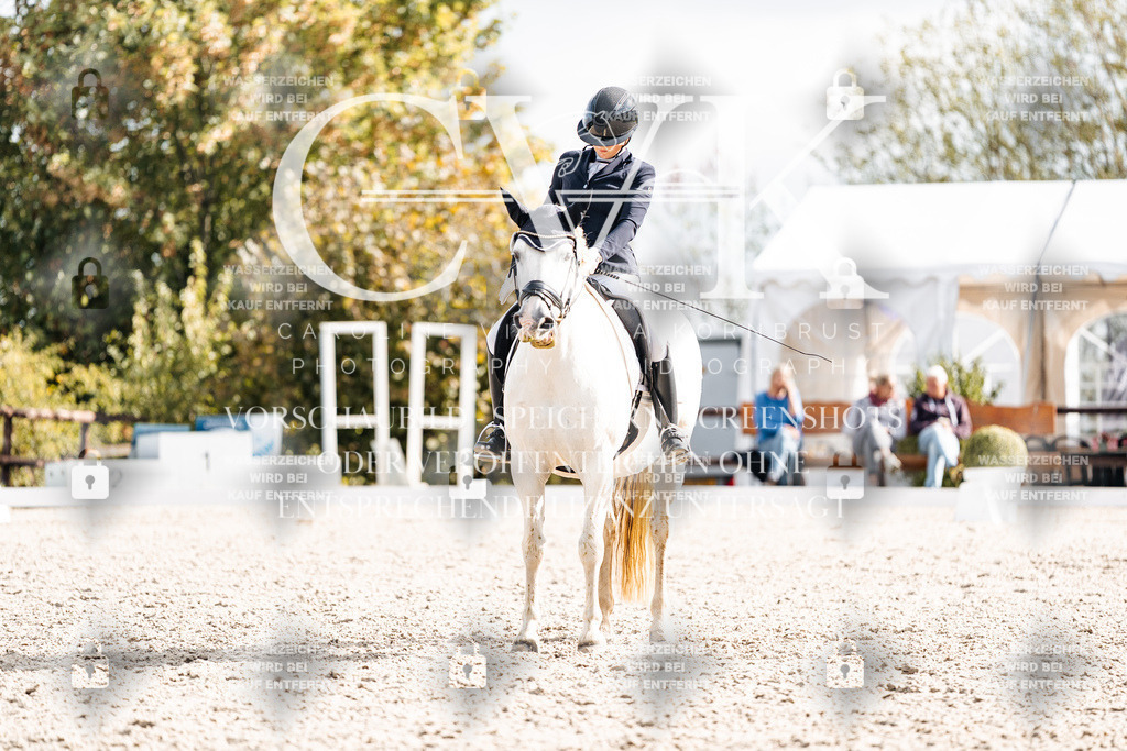 CK901513 | Turnierfotografie Pferdefotografie Trier Rheinland-Pfalz Pferdesport Reitsport Tierfotografie Sportfotografie Pferdevideo Pferdevideografie Equestrianvideography equestrianphotography  - Realisiert mit Pictrs.com