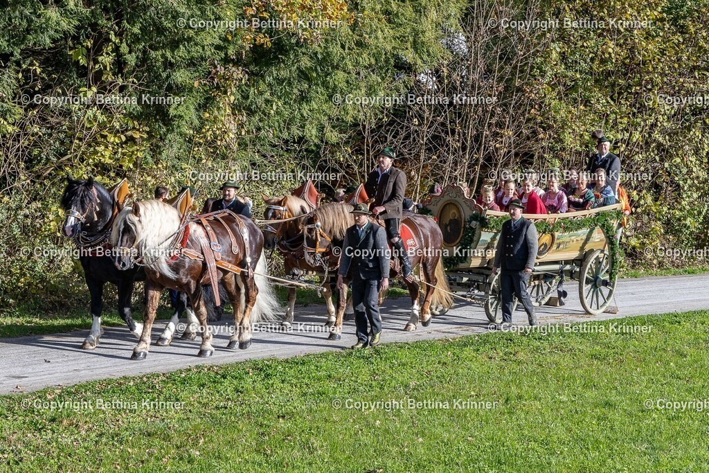 LBT24-671 | foto-bettina-krinner - Realisiert mit Pictrs.com
