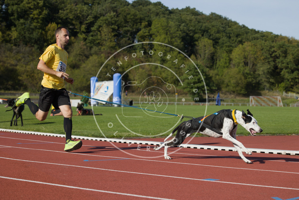 0L8A0095 | Hundefotografie, Tierfotograf, Pfotenfotografie, Fotoshooting Hund, Hunde Portrait, Hundesport, Hundeportraits, Heideshooting, Hunde, Sportfotograf, Hundefotograf, Turnierhundsport, THS,  - Realisiert mit Pictrs.com