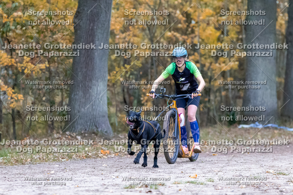 Dog Paparazzi - SD CaniX Championship 2025-179 | Dog Paparazzi Jeanette Grottendiek Fotografie & Videografie - Realisiert mit Pictrs.com