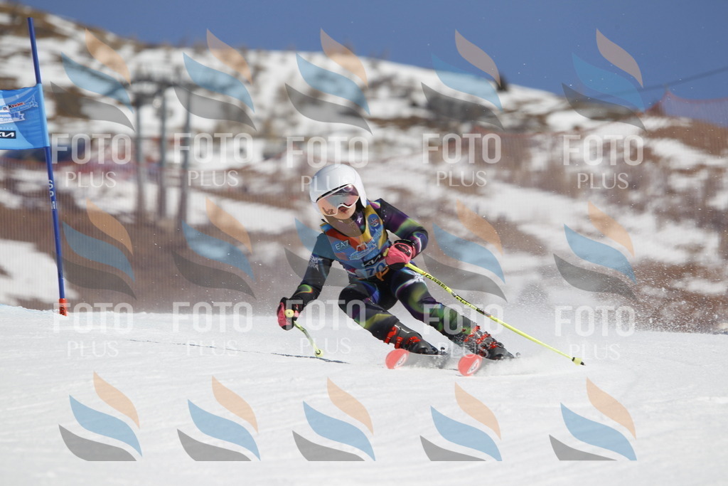 _U3G9815 | holidayphoto