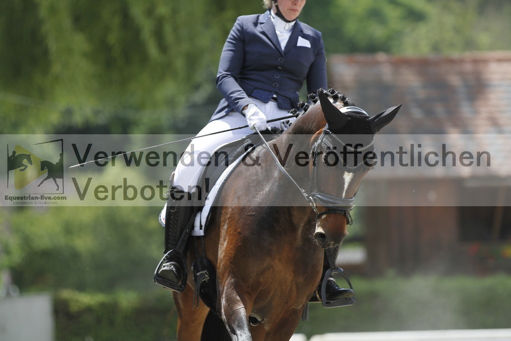 _MG_9944 | equestrian-live-com