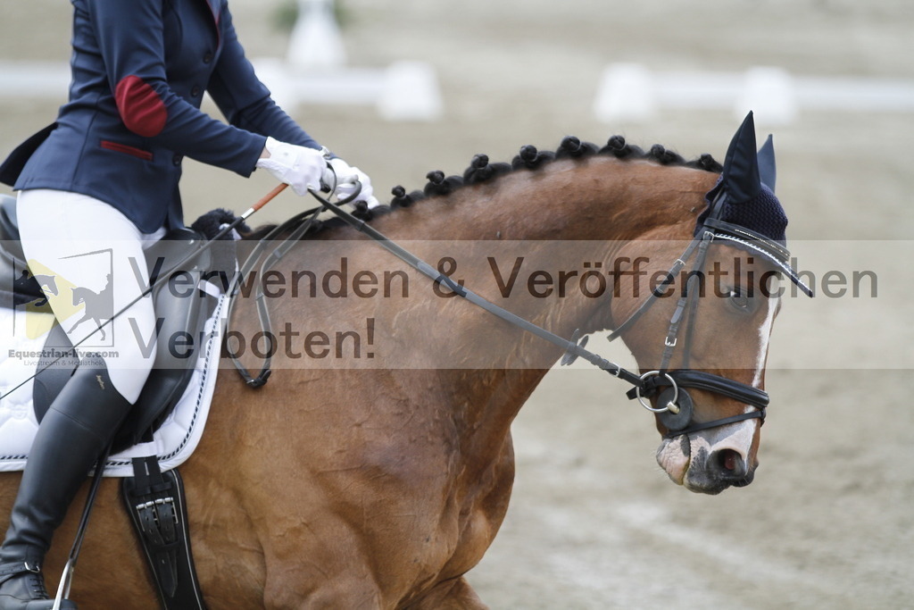 _MG_1407 | equestrian-live-com