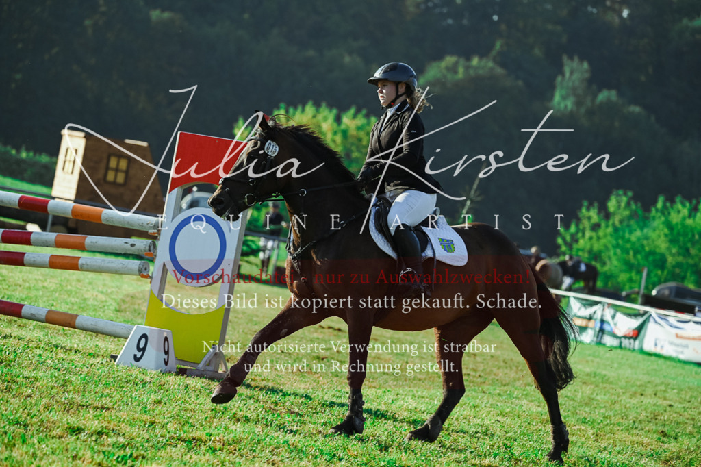 DSC_4274 | Pferde- und Turnierfotografie in Westsachsen. Pferdeportraits, Auftragszeichnungen und intuitive Kunst.