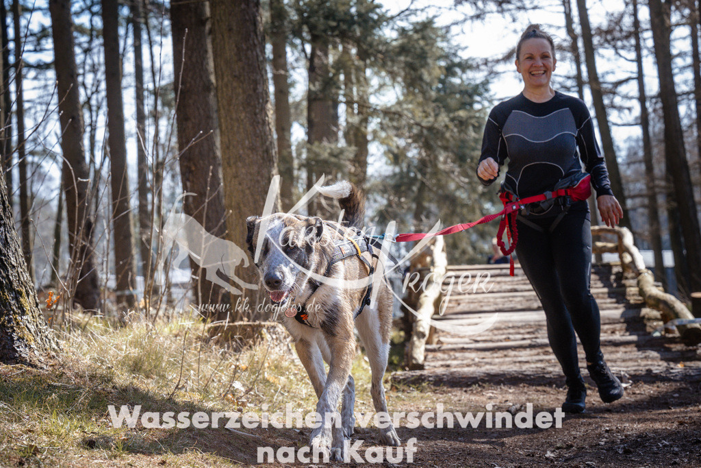 1306_ZZ94392 | kk-dogfotos