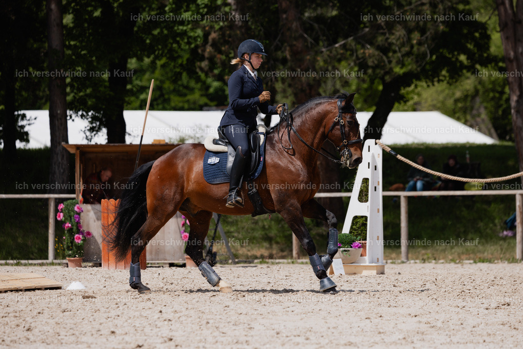 PI26_SP_StoibphotographyC2_C3263.CR3 | working equitationturnier fotograf videograf stoibphotography marixx film working equitation deutschland reitsport turnierfotografie eventfotografie equestrian events