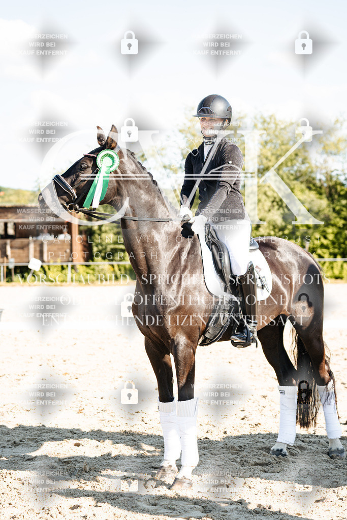 CK703593 | Turnierfotografie Pferdefotografie Trier Rheinland-Pfalz Pferdesport Reitsport Tierfotografie Sportfotografie Pferdevideo Pferdevideografie Equestrianvideography equestrianphotography  - Realisiert mit Pictrs.com