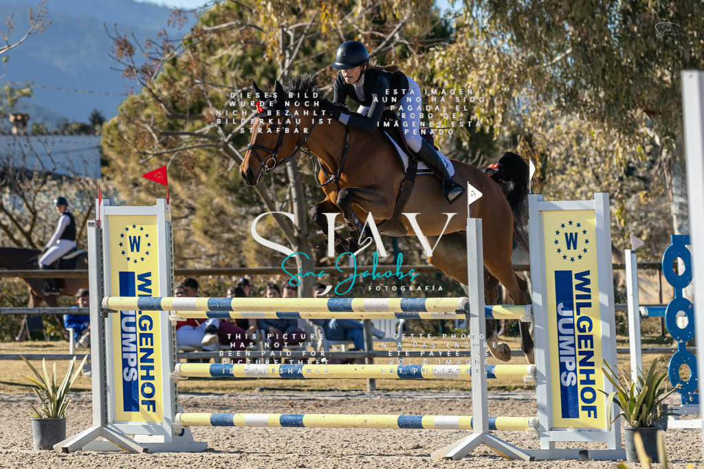 IMG_1795 | s-jay-photography - Realisiert mit Pictrs.com