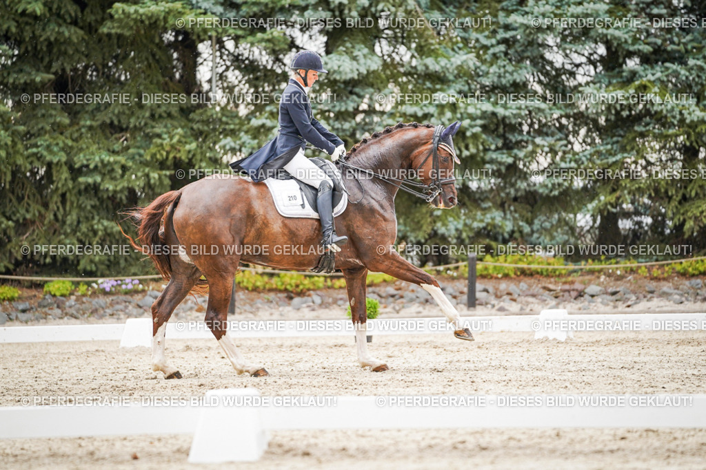 DSC07882 | Pferdegrafie