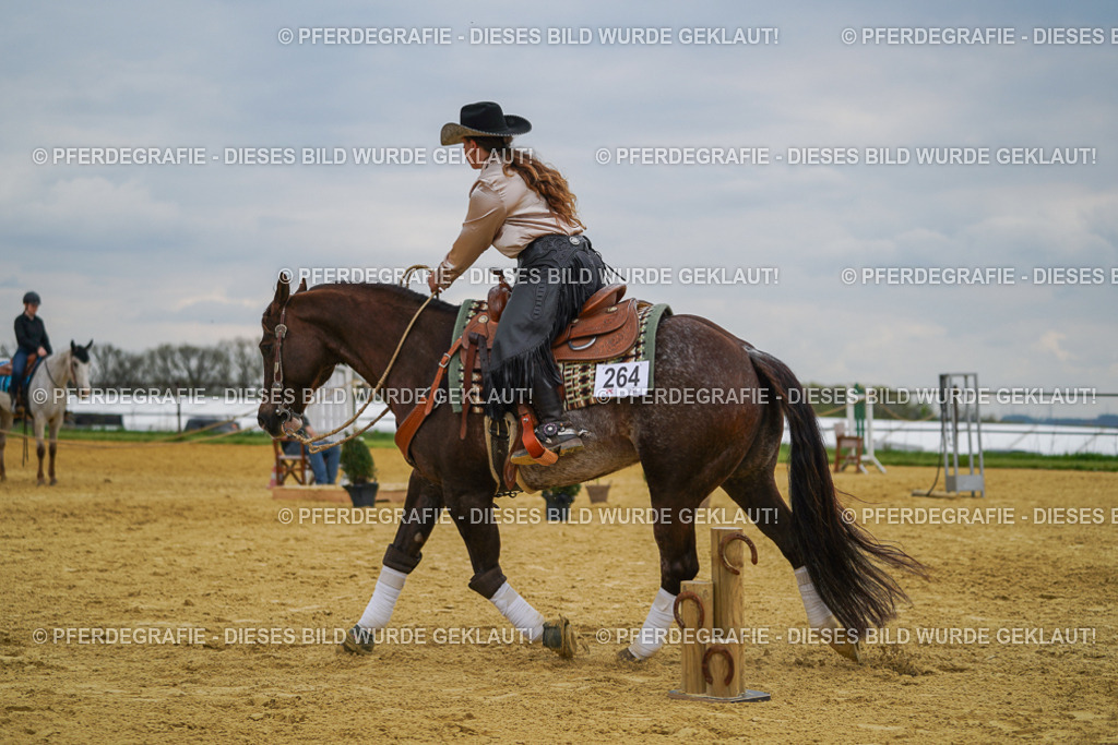 DSC07384 | Pferdegrafie