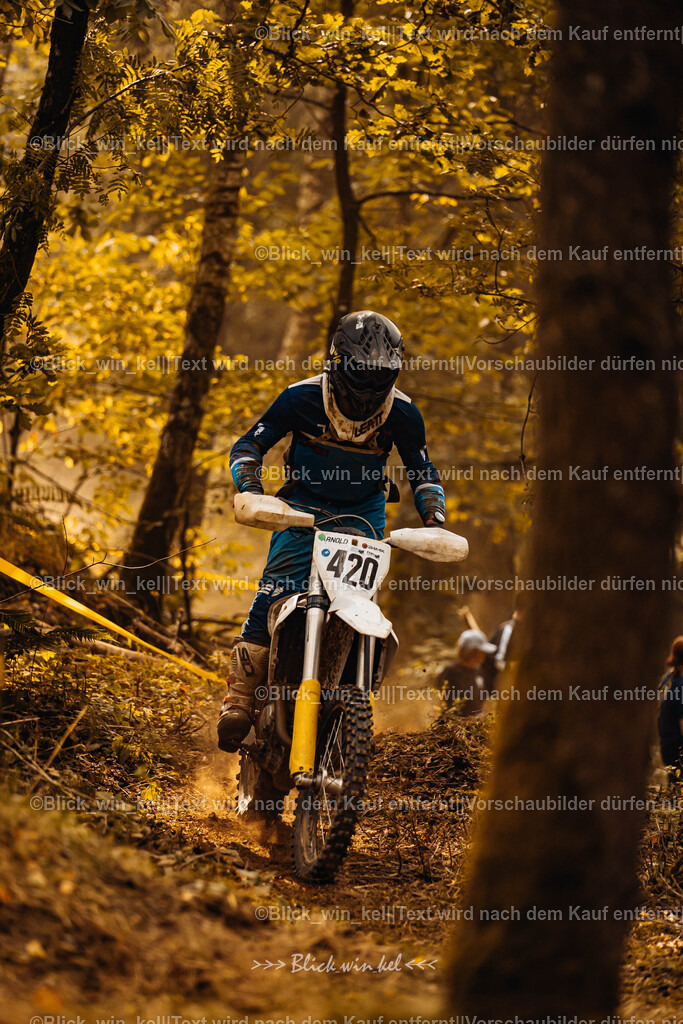 E68A4035 | blick_win_kel