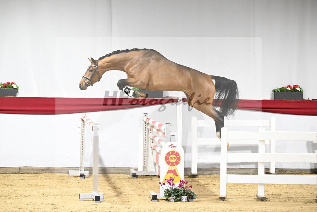 Kat-Nr. 34 v. Del Arko_Bauhofer_63221012 | hf-fotografie - Realisiert mit Pictrs.com