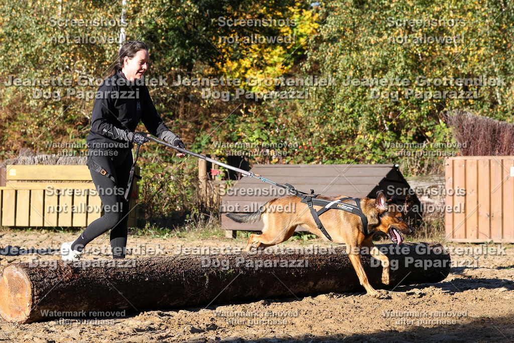 Dog Paparazzi - Strongdog 10-25-1453 | Dog Paparazzi Jeanette Grottendiek Fotografie & Videografie - Realisiert mit Pictrs.com