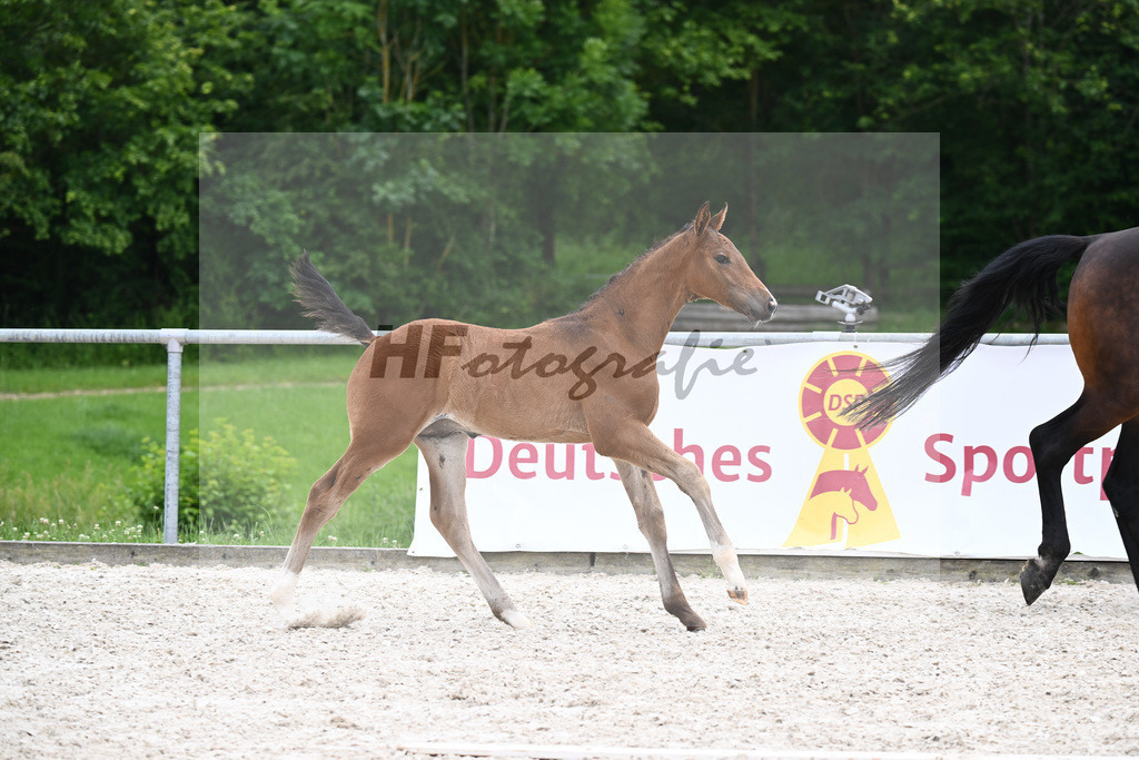 Conthalou x Catoki_HF_Lanzinner_20240859 | hf-fotografie - Realisiert mit Pictrs.com