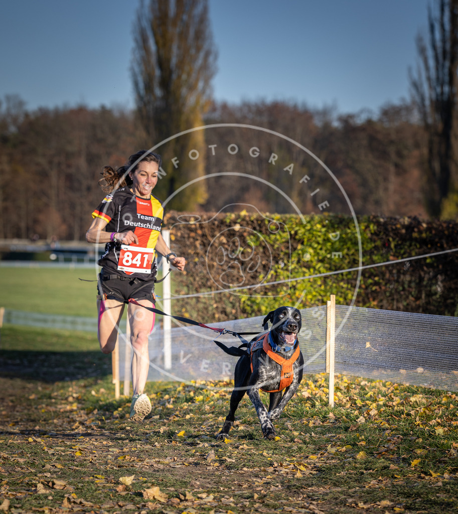 CaniXpix_DV3A3668 | Hundefotografie, Tierfotograf, Pfotenfotografie, Fotoshooting Hund, Hunde Portrait, Hundesport, Hundeportraits, Heideshooting, Hunde, Sportfotograf, Hundefotograf, Turnierhundsport, THS,  - Realisiert mit Pictrs.com